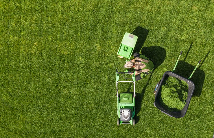 Lawn-Maintenance